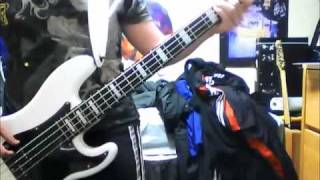 Lady Gaga  Born This Way Bass Cover with TABS [upl. by Rolph177]