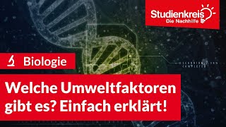 Welche Umweltfaktoren gibt es Einfach erklärt  Biologie verstehen mit dem Studienkreis [upl. by Reivazx]