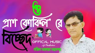 Baul Salam Sarkar New Video Bicched Gaan O Pran Kokil ra  বাউল গান বিচ্ছেদ [upl. by Nicolais]