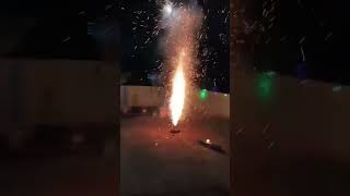 Bobos house diwali 🎇🎆🎇 diwalispecial crackers shorts shortvideo cracklingfire [upl. by Nadbus446]