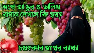 স্বপ্নে আঙুর ও ডালিম বাগান দেখলে কি হয়  shopne angur dekhle ki hoy ইলান নূর [upl. by Devonna]