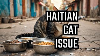 The Cat Eating Epidemic Sweeping Through Haitian Communities In Usa [upl. by Mcilroy]