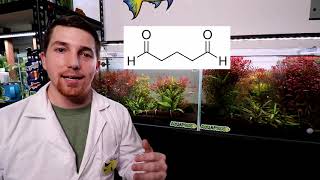 Does quotLiquid CO2quot Really Work  SideBySide Aquarium Experiment [upl. by Bruns]