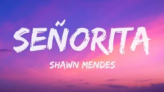 Shawn Mendes Camila Cabello  Señorita Lyrics [upl. by Neetsuj]