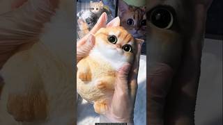 Cats sticky toys 😲New Viral Gadgets Smart AppliancesKitchen Utensils Home Inventions shortvideo [upl. by Noyk]