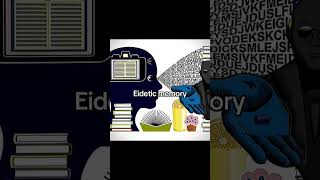 Eidetic memory vs Visual memory Meme edit fyp trending foryou viral fypシ fypシ゚viral fy [upl. by Nylcaj717]