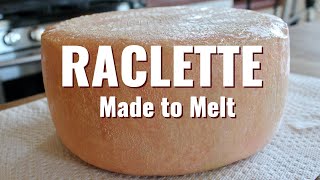 How To Make A Raclette Cheese Washing the Rind Aging Tasting and Melting [upl. by Leummas]