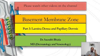 Basement Membrane Zone BMZ Part 3  Lamina Densa and Papillary Dermis [upl. by Florenza]