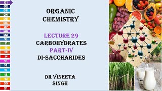 Exploring the World of Disaccharides Structure Function and Importance [upl. by Remmer740]