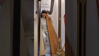 Differenza di accordatura arpe harp foryou music perte virale shorts 432hz 440 vibes [upl. by Chic]