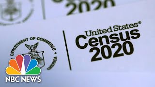 Census Worker Worries US At Risk For ‘Massive Undercount’  NBC News NOW [upl. by Amelus]