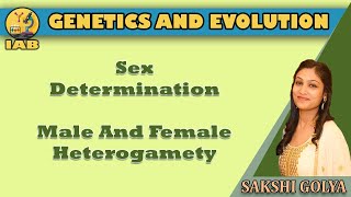 Sex Determination  Male And Female Heterogamety  Genetics And Evolution  Module 17  Sakshi Golya [upl. by Merce]