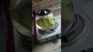 Oregano teaoregano herbaltea oreganorecipe herbalife [upl. by Elwood37]