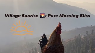 Dawn Delights Simple Joys in Village Life youtube villagelife [upl. by Fernandes]