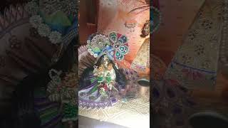 radhe radhe aaj ke mangal darshan devotees vrindavan song viral [upl. by Nnanerak982]