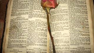 A ROSE IN A BIBLE Original Version  Tony Pritchett and Debbie Andersonwmv [upl. by Aschim]