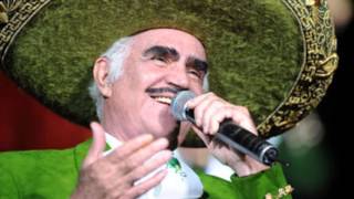 Vicente Fernandez Camino Al Cielo [upl. by Grussing]