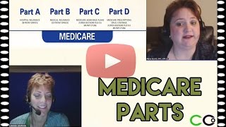 Medicare Billing Guidelines  Medicare Parts A B C and D [upl. by Mintz]