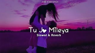 Tu Jo Mileya Slowed  Reverb  Juss X Mixsingh  New Punjabi Song 2024  Jot Music [upl. by Yesnikcm315]