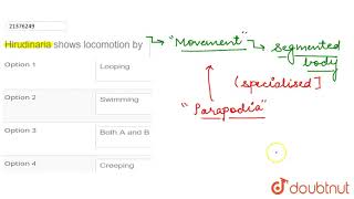 Hirudinaria shows locomotion by [upl. by Charmain]