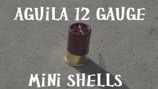 Aguila 12 Gauge Mini Shells Benelli M4 Cycle Test [upl. by Nnayrrehs]