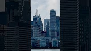 Best City Skyline View from Toronto Island shorts ytshorts torontoisland canada [upl. by Judsen]