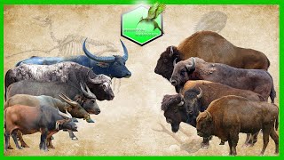 Bison vs Buffalo Size Comparison Living Extinct [upl. by Cedell180]