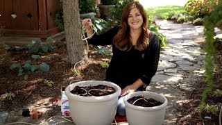 Using Drip Irrigation to Water Your Container Plants [upl. by Nahum]