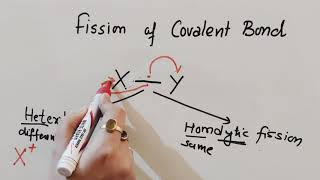 Fission of Covalent Bond  Inductive Effect  Hyperconjugation Class 11Chemistry [upl. by Euqinahc]