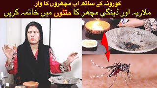 CORONA KAY SAATH AB DENGUE KAY WAAR  HOW TO KILL MOSQUITOS WITH EASY HOME REMEDIES IN URDU  HINDI [upl. by Ellennahs]