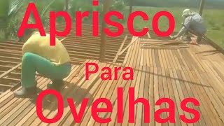 COMO FAZER APRISCO PARA OVELHAS [upl. by Shargel]