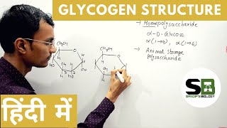 Structure of Glycogen in Hindi [upl. by Marga]