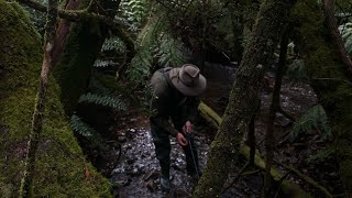 Delatite river trout fishing [upl. by Sitra]