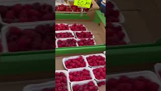 fruits europe fruit grape watermelon saifa kids kidsvloggers shorts shortvideo short uk [upl. by Gladi]