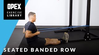 Seated Banded Row  OPEX Exercise Library [upl. by Yelsnia]