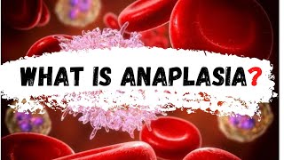 What is Anaplasia  Anaplasia [upl. by Dory536]