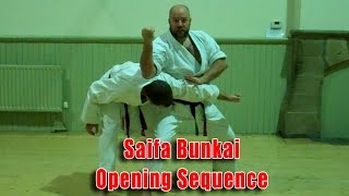 Practical Karate Bunkai Start of Saifa [upl. by Anna-Diane81]