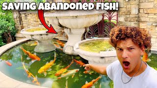 Saving ABANDONED Aquarium FISH From FOUNTAIN POND [upl. by Ermin810]