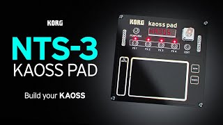 NTS3 kaoss pad  Build your KAOSS [upl. by Enyawal]