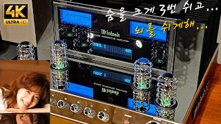 McIntosh MA352잠시만 멍때리고 들어수고했어잠시 쉬어💕💜💙💚 [upl. by Louis]