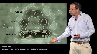 Arthur Horwich YaleHHMI Part 3 Where are proteins folded by chaperonins [upl. by Asi]