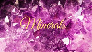 What do minerals do [upl. by Naliorf]