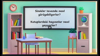 Sinekler tavanda nasıl yürüyebiliyorlar Kutuplardaki hayvanlar nasıl yaşıyorlar [upl. by Krantz]