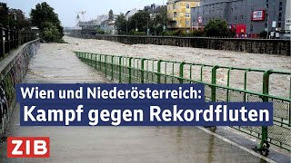 Hochwasser in Wien und Niederösterreich Kampf gegen Rekordfluten  ZIB2 vom 16092024 [upl. by Adnot]