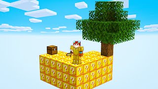 SKYBLOCK de LUCKY BLOCK [upl. by Anil50]