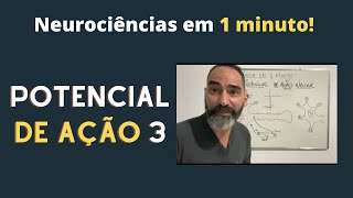 O POTENCIAL DE AÇÃO NEURAL  PARTE 3 [upl. by Jayson]