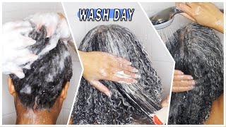 MY REALISTIC WASH DAY ROUTINE  For Dry Frizzy Curly Hair  Samantha Pollack [upl. by Hanoj]