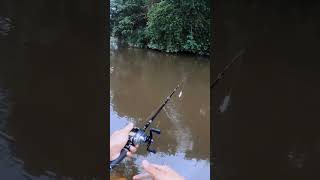 Skipping with Shimano metanium 2013 fishing shimano skipping [upl. by Anetsirhc626]