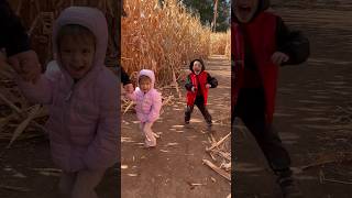 Scary Corn Maze  Are You Brave Enough familyfun tiktok youtubekids kidsvideo cutekids scared [upl. by Hgielac607]