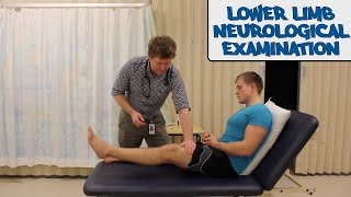 Lower Limb Neurological Examination  OSCE Guide old version  UKMLA  CPSA [upl. by Letty]